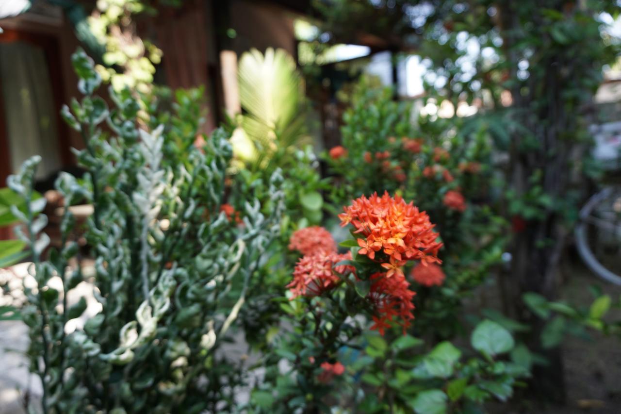Bed and Breakfast Salon de Nomad Gili T. Gili Trawangan Exterior foto